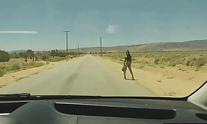 Transsexual hitchhiker fucked in the botheration