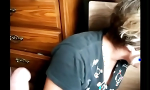 the pet diaries